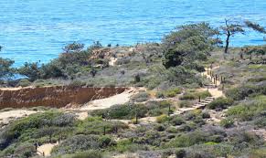 Russ christoff visits torrey pines state natural reserve. Torrey Pines State Natural Reserve San Diego Ca California Beaches