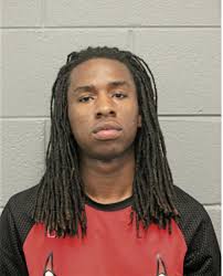 ᐅ Illinois Criminal Records 2009-2025