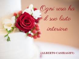 Frasi E Immagini Sulle Rose 212 Tra Aforismi Pensieri E Citazioni Sul Fiore Piu Amato Al Mondo Frasidadedicare