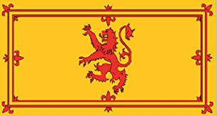 Si realizas el pedido antes de las 17.30h este artículo te podrá llegar mañana. Bandera Del Pais De Gales Con Dragon Gales Oferta Especial 152 4 Cm X 91 4 Cm 5 X 3 Banderas Unifytulum Jardin