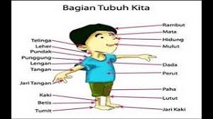 Sudut mata kiri bagian atas. Inilah Ramalan Arti Kedutan Menurut Primbon Jawa By Batang Langit