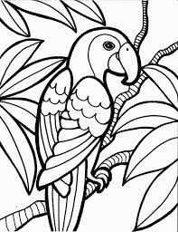 Bird Coloring Pages Bird Coloring Pages Printable Coloring Pages Entitlementtrap Com Zoo Coloring Pages Jungle Coloring Pages Animal Coloring Pages