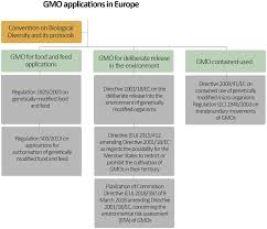 Environmental risk assessment (era) in the food chain. Frontiers Revisiting Risk Governance Of Gm Plants The Need To Consider New And Emerging Gene Editing Techniques Plant Science