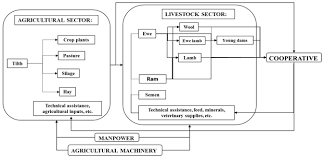 Flowchart Of Sheep Production For Integrated Crop Livestock