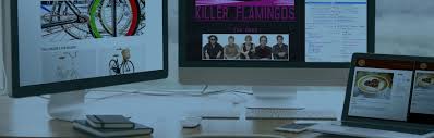 Web Design Degree Online Sessions College