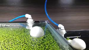 Best Auto Top Off System For Reef Tank 2021 Whylaptops Com