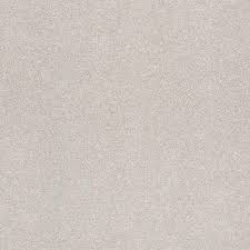 Maybe you would like to learn more about one of these? Stainmaster Petprotect Best In Show Class Class Plush Carpet Indoor In The Carpet Department At Lowes Com