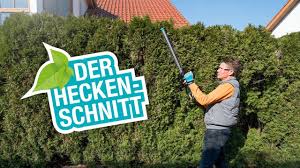 Wenn sie nur einmal im jahr schneiden, tun sie dies am besten im frühen sommer (ende juni) nachdem sich die neuen blüten voll entwickelt haben. Hecken Schnitt Kurzen In Form Bringen Verdichten Tipps Fur Einen Gelungenen Hecken Schnitt Youtube