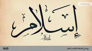 ?چیستی فلسفه احکام در اسلام - الشیعه?‎