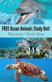Books About Sea Animals Free Ocean Animals Study Unit Animal Study Ocean Activities Unit Studies Homeschool