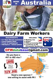 Dairy Farm Worker Jobs In Australia Work In Australia Dairy Farms Australia