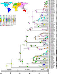 Image result for Cystostemon