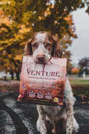 Venture Smoked Wild Boar Butternut Squash Limited Ingredient Dog Food Limited Ingredient Dog Food Dog Allergies Butternut Squash