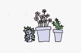 Potted cactus temporary tattoos, succulent house plants, black line drawing, nature tattoo. Plants Cactus Succulent Drawing Pastel Cute Aesthetic Plants Are Friends Quotes Hd Png Download Transparent Png Image Pngitem