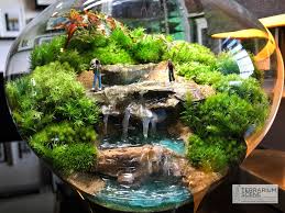 Pin By Terrariumscene On Terrarium Scene Terrarium Scene Organic Furniture Garden Terrarium