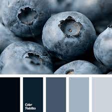 Maybe you would like to learn more about one of these? Silver Blue Color Palette Ideas