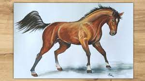How To Draw A Horse Step By Step | Pencil Shading Drawing - Youtube