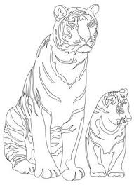 Tiger Ausmalbilder Ausmalen Ausmalbilder Coole Malvorlagen