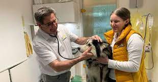 Die klinik für innere medizin der städtisches krankenhaus eisenhüttenstadt gmbh ist eine personell und technisch gut ausgestattete internistische klinik, die sich in enger zusammenarbeit mit den. Innere Medizin