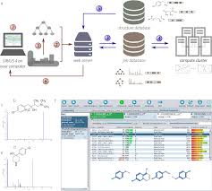 Picaridin is a synthetic compound resembling piperine, which is a repellent found in pepper plants. Pdf Sirius 4 Turning Tandem Mass Spectra Into Metabolite Structure Information Semantic Scholar