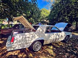 Image result for White 1981 Mercury