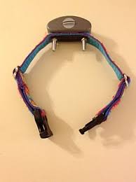 Strap that collar on and start hitting buttons and your dog will be unbelievably confused. Shock Collar Wikipedia