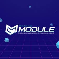 Hasil gambar untuk module bounty