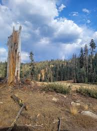 Top of the Badger run looked like this today.