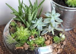So when i received an email asking me to share some tips for planting a diy indoor herb garden, i felt a little inauthentic trying to portray myself as an indoor herb gardening guru. 10 Diy Indoor Herb Garden Ideas And Planters They Re Easy So Cute