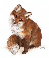 Mooie Tekeningen Van Dieren Google Zoeken Dieren Tekenen Vossen Tekening Vos Tatoeages