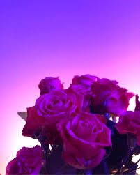 We did not find results for: Orange Roses Pink Carnations And Purple Neon Lights Aesthetic Purpleaesthetic Roses Lavender Aesthetic Pink Carnations Sparkle Wallpaper