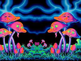 Cannabis wallpaper weed wallpaper purple wallpaper aesthetic pastel wallpaper wallpaper iphone cute wall collage decor bedroom wall collage photo trippy mushrooms trippy pictures arte peculiar collages trippy painting mushroom art mushroom house trippy wallpaper psy art. 46 Trippy Shroom Wallpaper On Wallpapersafari