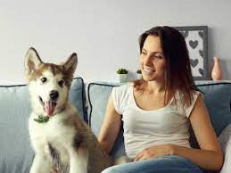 Pin On Pet Care
