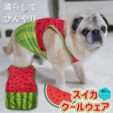 Yahoo!ショッピング - Yahoo! JAPAN