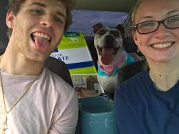 Foster dog adoption success story