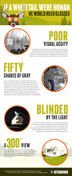 Infographic Deer Vision What Every Hunter Needs To Know Hunting Hunting Tips Whitetail Hunting