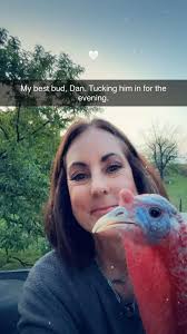 Life of a self described dull woman in the South Island of New Zealand