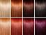 Ion Hair Dye Color Chart