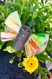 Check spelling or type a new query. Easy Toilet Paper Roll Butterfly Craft With Coffee Filter Wings