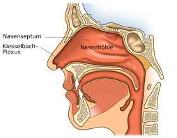 Pharmawiki Nasenbluten