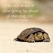 4 Places We Stand And Why Direction Matters Choosing Wisdom
