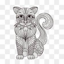 Enjoy the videos and music you love, upload original content, and share it all with friends, family. Kucing Kucing Liar Royaltyfree Gambar Png