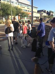 Dog training phoenix has top dog trainers in phoenix. Urban Canine Good Citizen Training Az Dog Sports