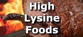 top 10 foods highest in lysine