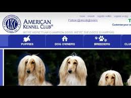 You will not find a better registry in america than akc to register a dog through akc it's $15.00. How To Register A Litter With The American Kennel Club Youtube