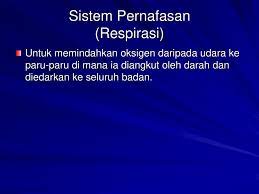 Jumlah gas yang dihantar adalah laras menggunakan slider melengkung unit ini telah dijual sebagai ''mark 7 alat pernafasan dan rasmi dipanggil burung. Bab 2 Struktur Tubuh Ppt Download