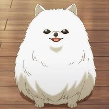 Communist dog 1080 x 1080. Tama Is One Kind Of Dog I Want To Adopt Anime Anime Puppy Anime Anime Wallpaper