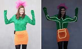 Cactus 14 Last Minute Diy Halloween Costumes Diy Halloween Costumes Halloween Costumes Halloween Diy