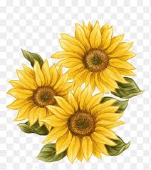 Digital draw, illustration in watercolor style, vector angled autumn's frame: Of Sunflower Watercolor Painting Common Sunflower Drawing Hand Painted Sunflower Decoration Painted Hand Png Pngegg
