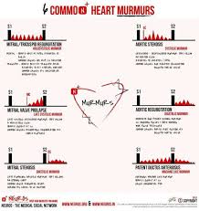 Heart Murmurs Cardiac Nursing Family Nurse Practitioner